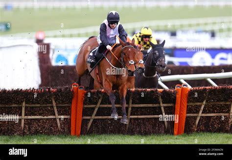 cheltenham 2021.